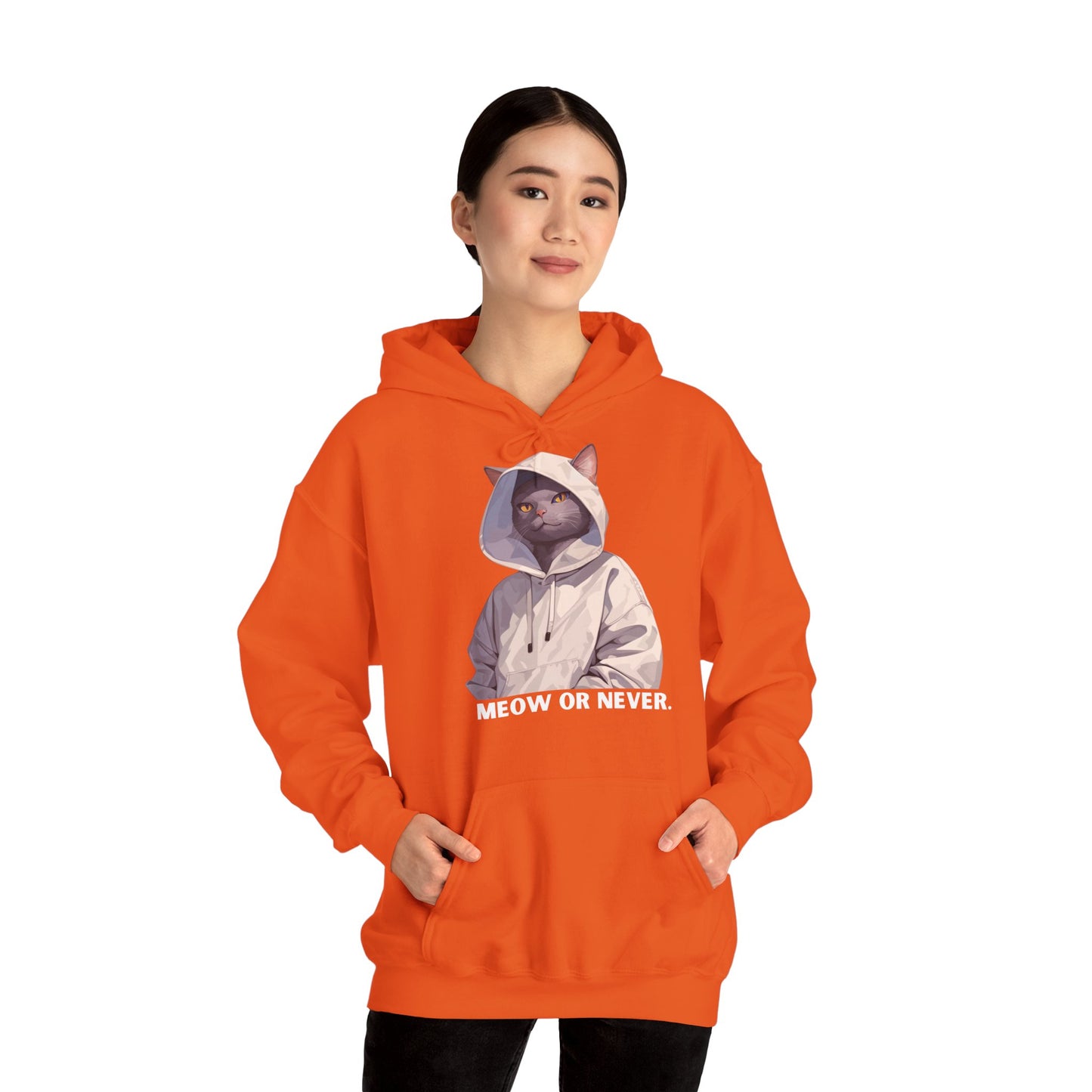 Meow or Never - Unisex Hoodie