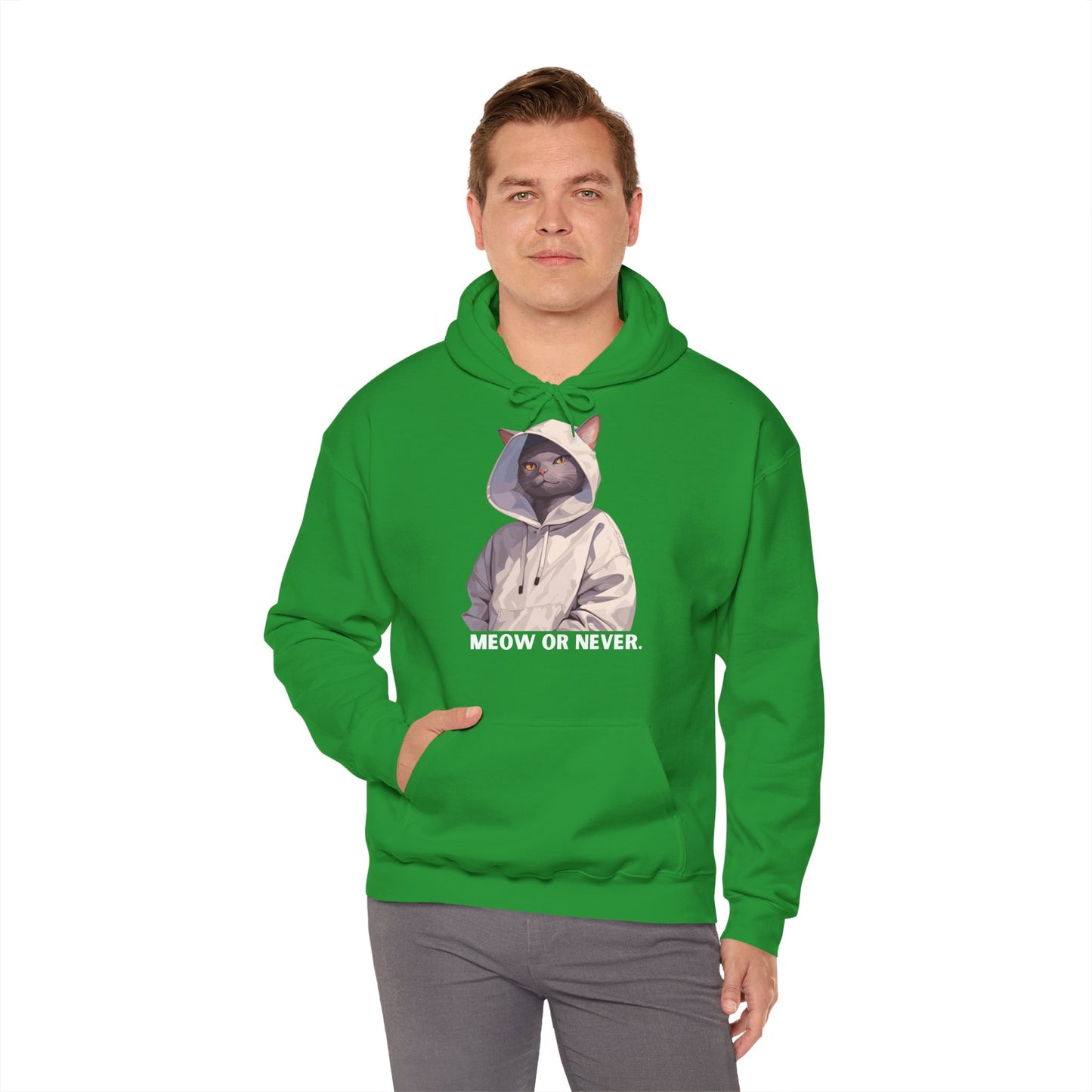 Meow or Never - Unisex Hoodie